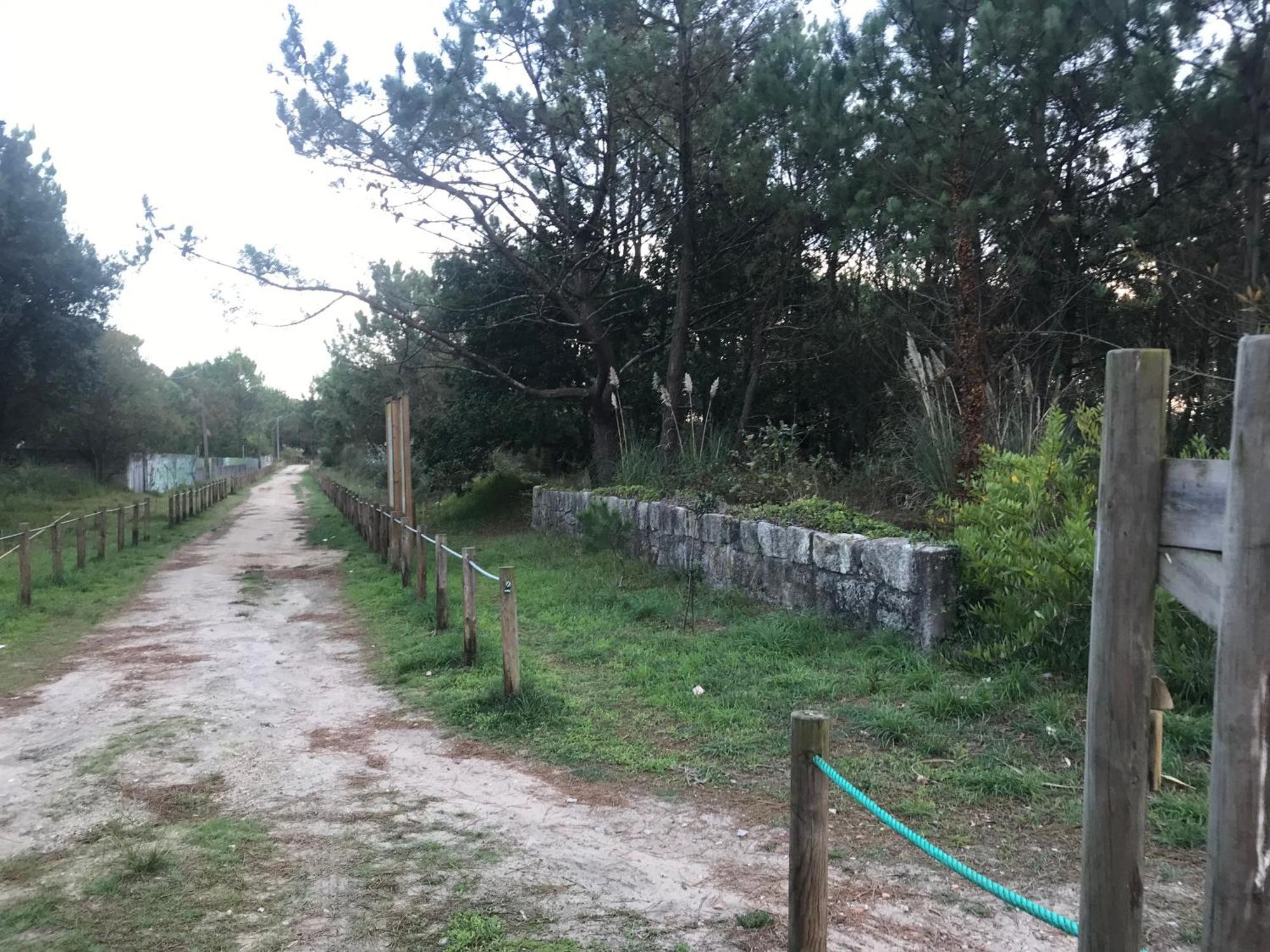 Arvore Cozy Com Jardim Kültér fotó