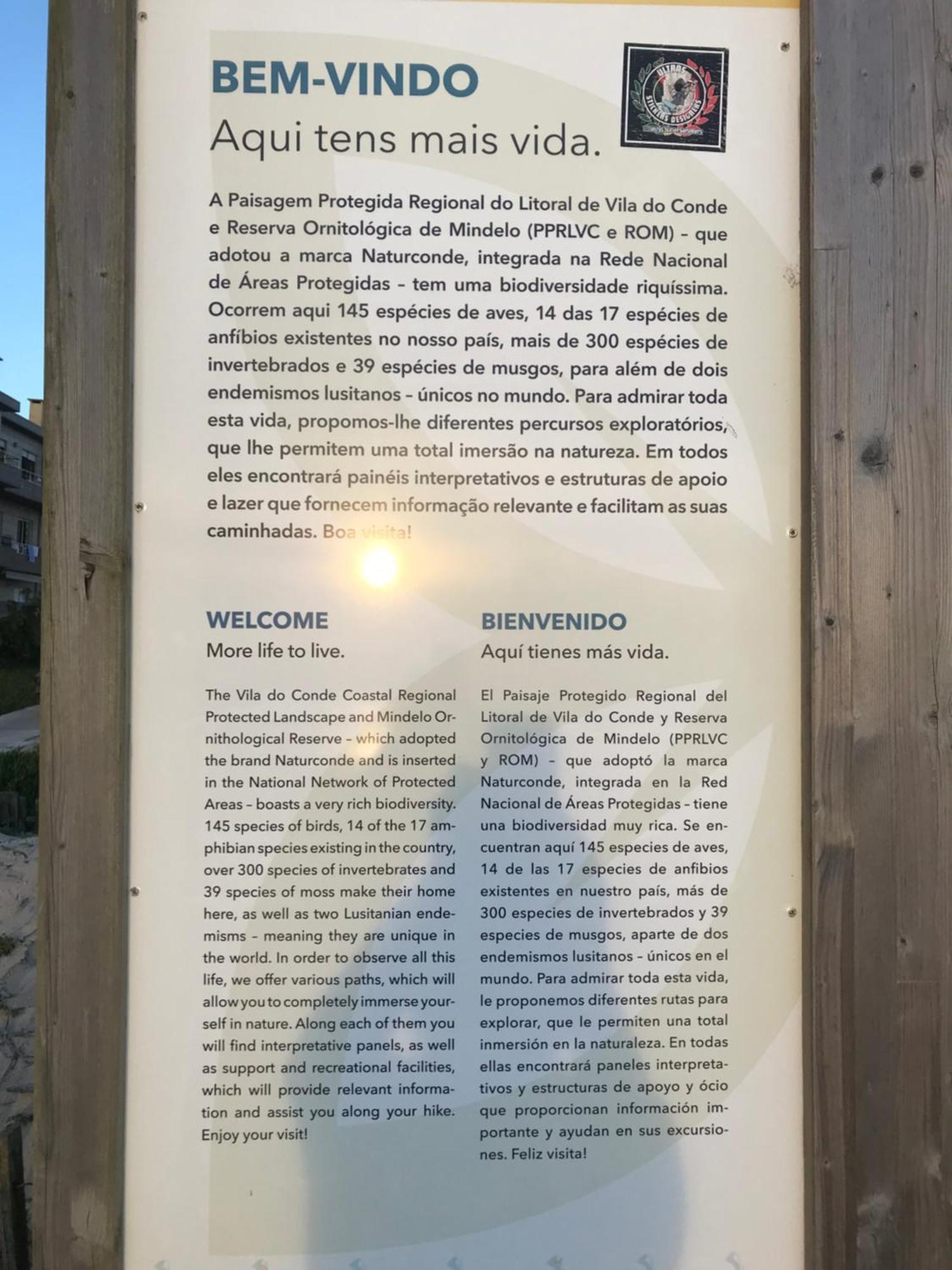 Arvore Cozy Com Jardim Kültér fotó
